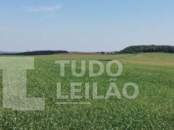 Área Rural 110.000 m² - Zona Rural - Maçambará - RS